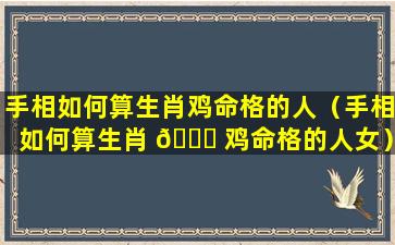 手相如何算生肖鸡命格的人（手相如何算生肖 💐 鸡命格的人女）